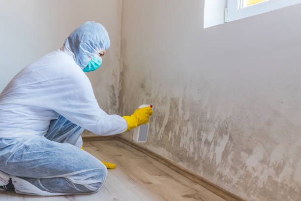 Bathroom Mold Removal assessment in Landisville bathroom