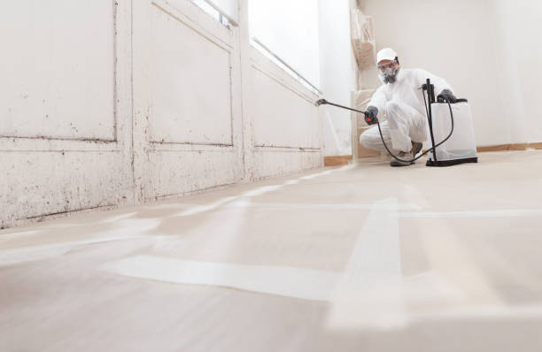 Black mold remediation team in Landisville